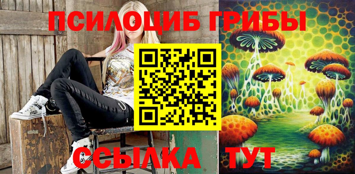 Богданович  продажа наркотиков  Вход с VPN  Псилоцибиновые грибы мухоморы 